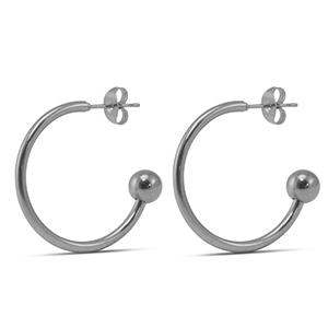 Roestvrij stalen (RVS) Stainless steel oorbellen 25mm Silver