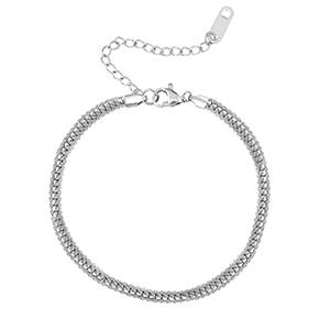 Roestvrij stalen (RVS) Stainless steel armbanden Silver