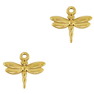 Roestvrij stalen (RVS) Stainless steel bedels libelle Gold