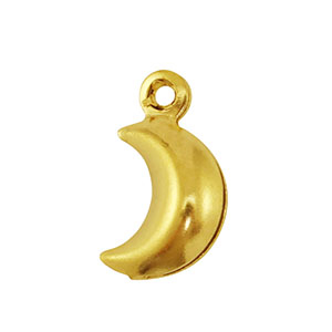 Roestvrij stalen (RVS) Stainless steel bedels maan Gold