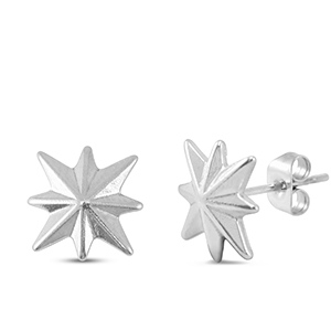 Roestvrij stalen (RVS) Stainless steel oorbellen / oorstekers ster Silver