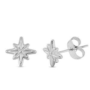 Roestvrij stalen (RVS) Stainless steel oorbellen / oorstekers ster Silver