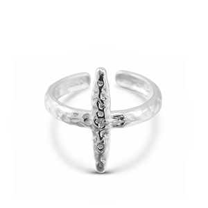 Roestvrij stalen (RVS) Stainless steel ringen Silver