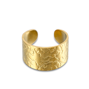 Roestvrij stalen (RVS) Stainless steel ringen Gold