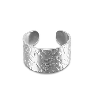 Roestvrij stalen (RVS) Stainless steel ringen Silver