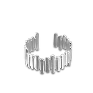 Roestvrij stalen (RVS) Stainless steel ringen Silver
