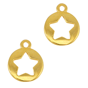 DQ metalen bedels ster Goud (nikkelvrij)
