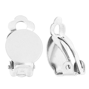 Roestvrij stalen (RVS) Stainless steel onderdelen clipoorbellen Silver