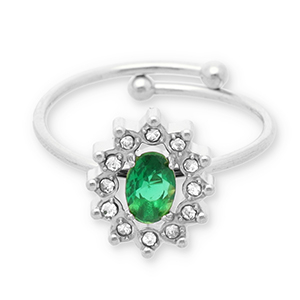 Roestvrij stalen (RVS) Stainless steel ringen Silver-green