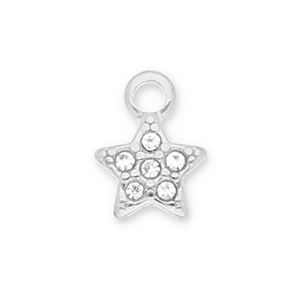 Roestvrij stalen (RVS) Stainless steel bedels ster met strass Silver-transparent