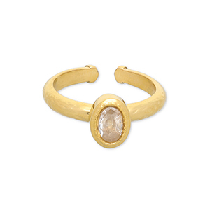 Roestvrij stalen (RVS) Stainless steel ringen Gold-transparent