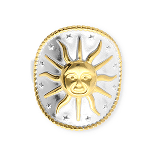 Roestvrij stalen (RVS) Stainless steel ringen zon Silver-gold