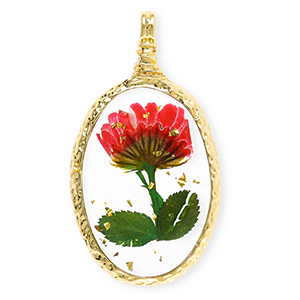 Bedels met gedroogde bloemetjes ovaal Gold-red-green